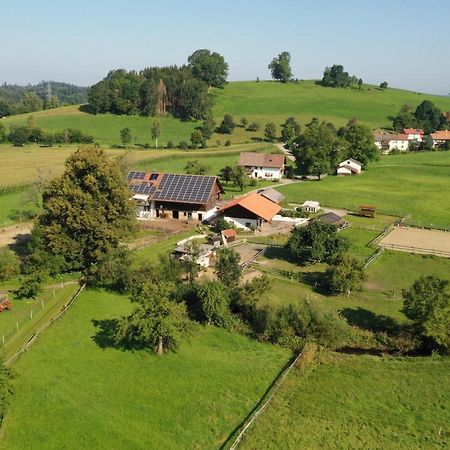 Carlo Leilighet Wangen im Allgäu Eksteriør bilde