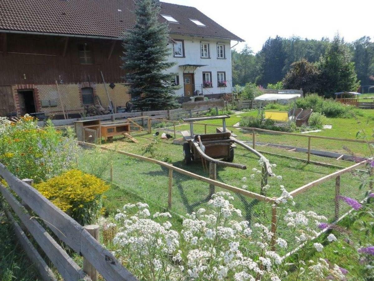 Carlo Leilighet Wangen im Allgäu Eksteriør bilde